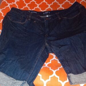 LOFT Dark Blue Denim Jean Shorts with Rolled Cuffs
